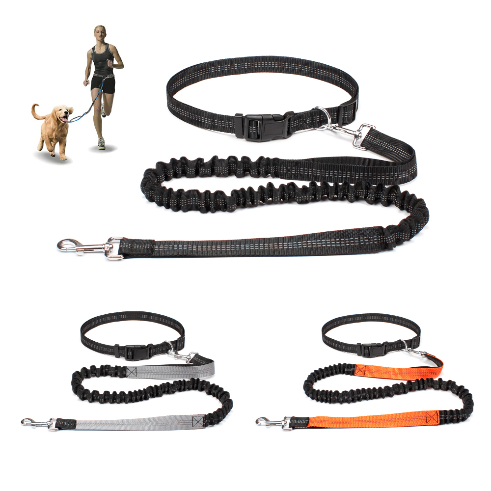 Smycz dla psa bez użycia rąk d – Running Jogging Gear recenzja i cena